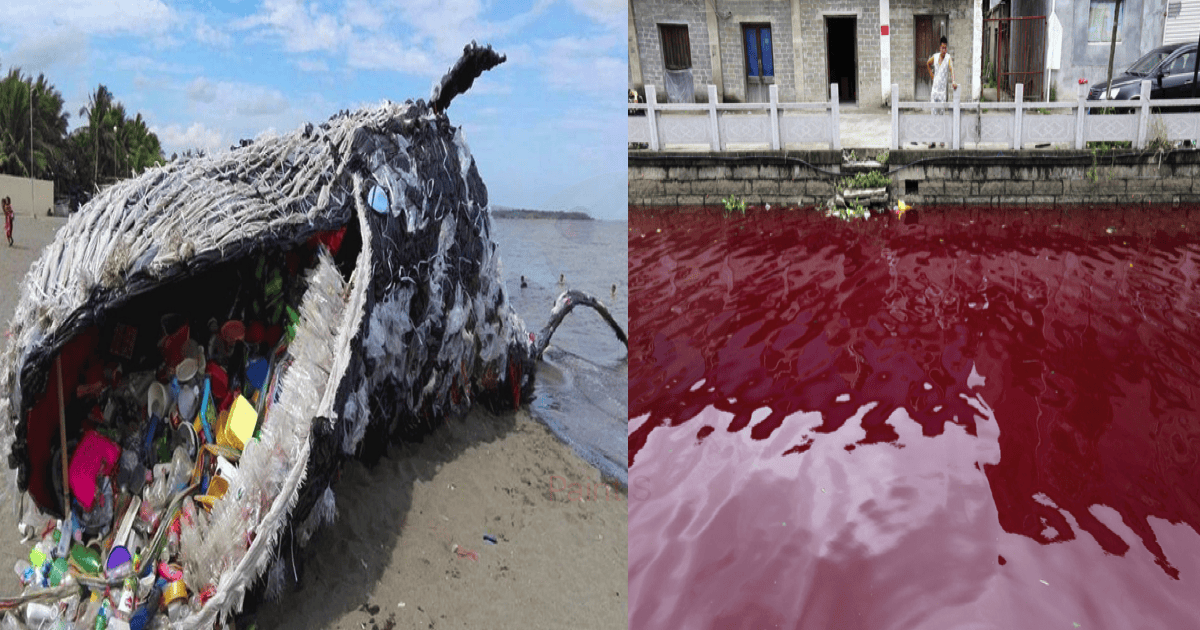10 Pictures Of The World’s Most Polluted Waters Genmice