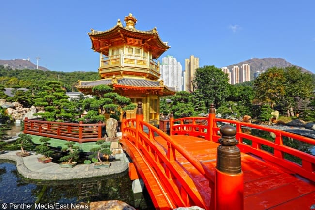 8 Absolutely Bizarre Things You Need To Know About China Genmice